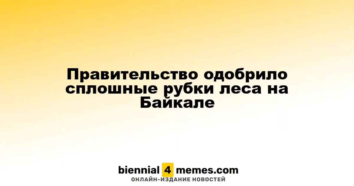 Правительство одобрило сплошные рубки леса на Байкале