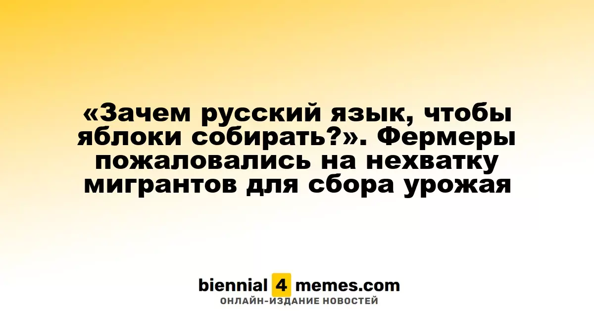 «Зачем русский язык, чтобы яблоки собирать?». Фермеры пожаловались на нехватку мигрантов для сбора урожая