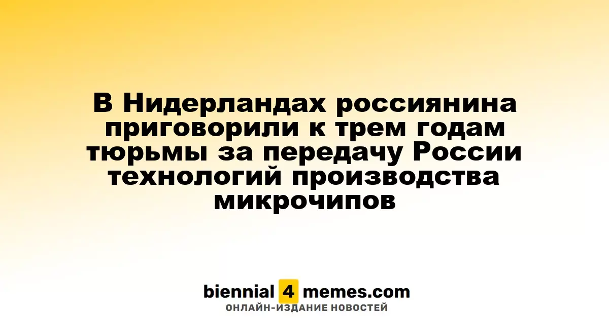 В Нидерландах россиянина приговорили к трем годам тюрьмы за передачу России технологий производства микрочипов
