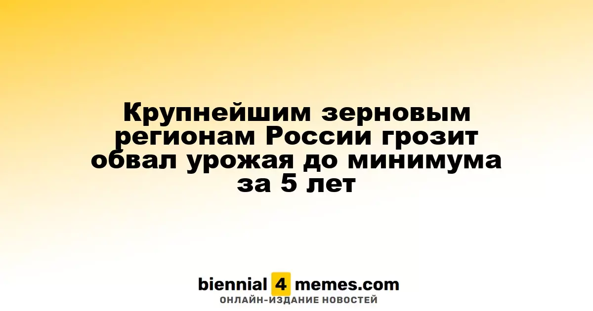Крупнейшим зерновым регионам России грозит обвал урожая до минимума за 5 лет
