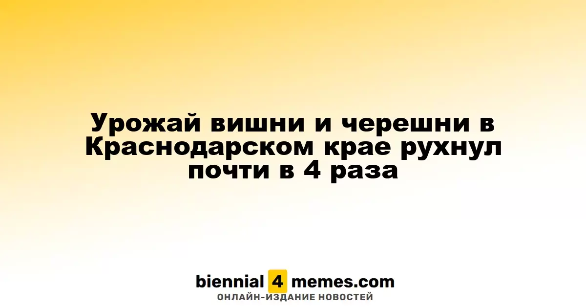 Урожай вишни и черешни в Краснодарском крае рухнул почти в 4 раза