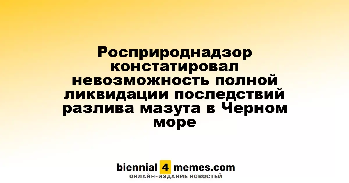 Росприроднадзор констатировал невозможность полной ликвидации последствий разлива мазута в Черном море