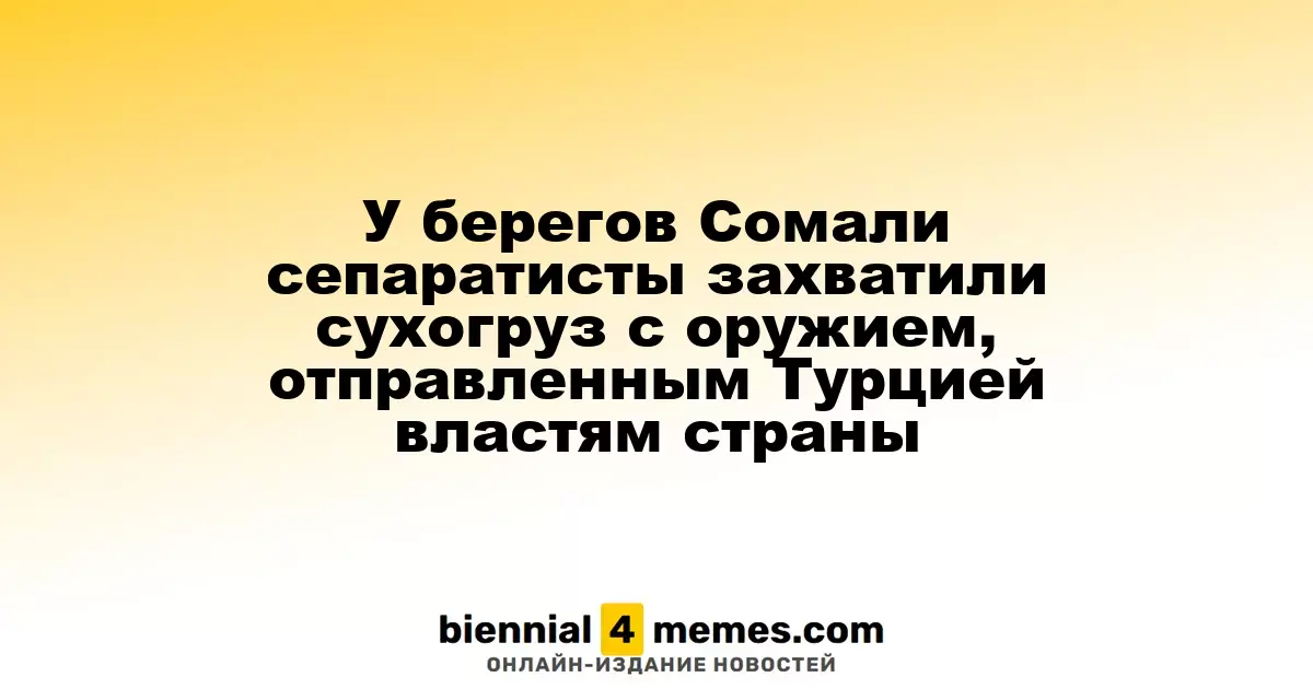 У берегов Сомали сепаратисты захватили сухогруз с оружием, отправленным Турцией властям страны