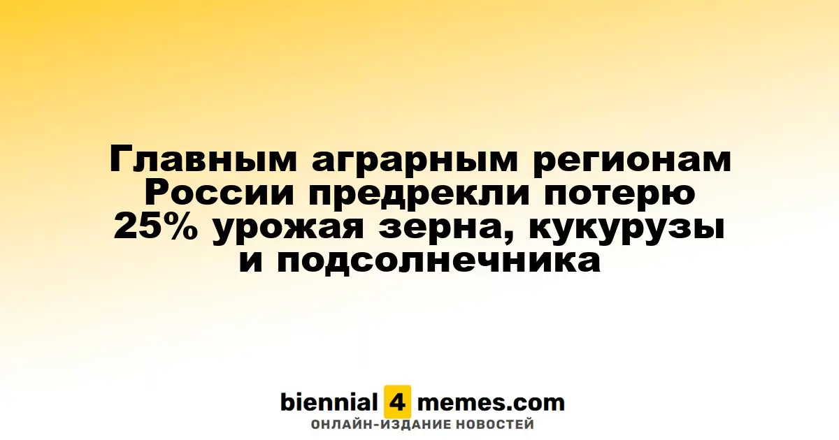 Главным аграрным регионам России предрекли потерю 25% урожая зерна, кукурузы и подсолнечника
