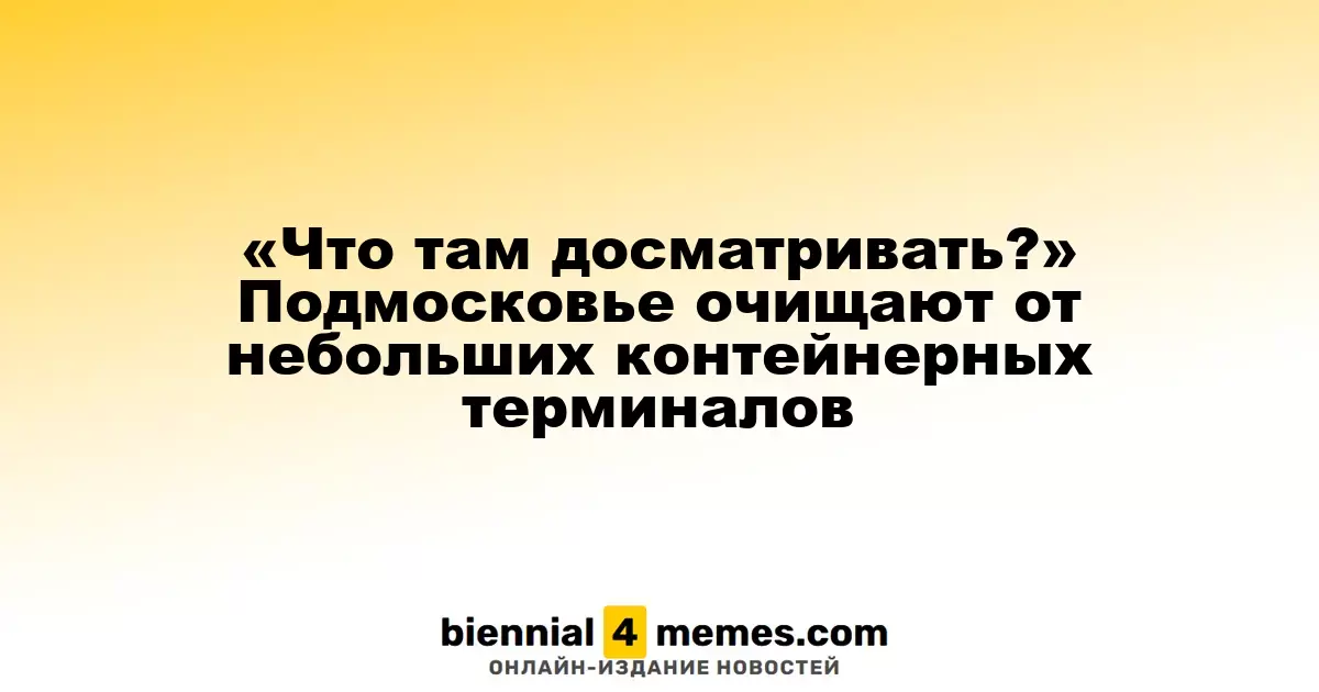 «Что там досматривать?» Подмосковье очищают от небольших контейнерных терминалов