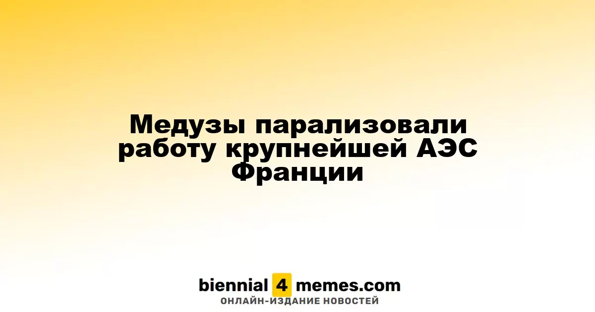Медузы парализовали работу крупнейшей АЭС Франции
