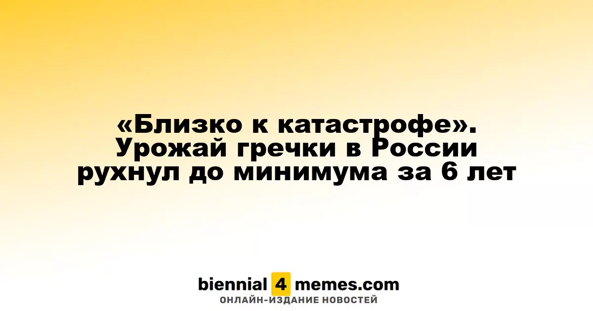 «Близко к катастрофе». Урожай гречки в России рухнул до минимума за 6 лет
