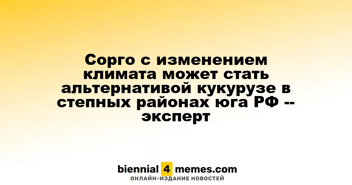 Сорго с изменением климата может стать альтернативой кукурузе в степных районах юга РФ -- эксперт