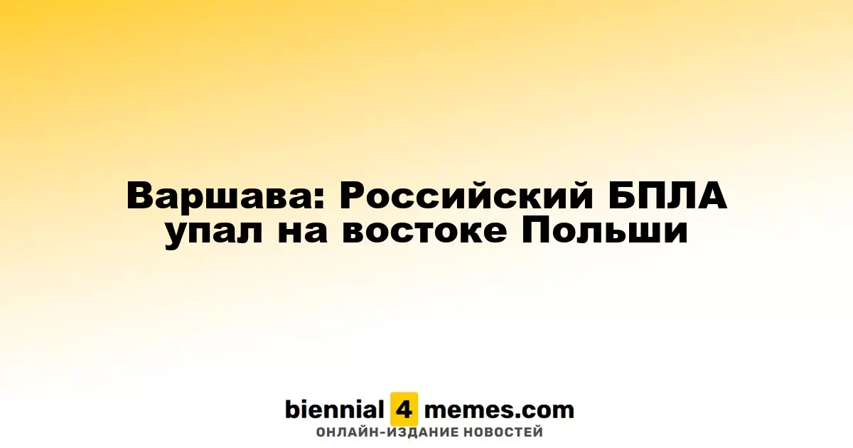 Варшава: Российский БПЛА упал на востоке Польши