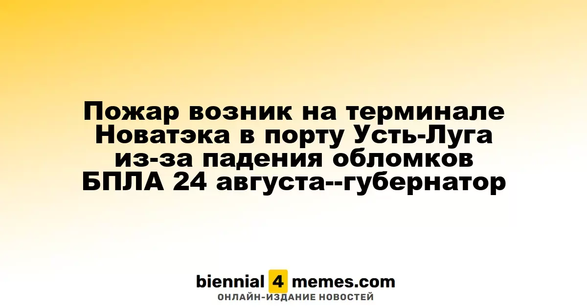 Пожар возник на терминале Новатэка в порту Усть-Луга из-за падения обломков БПЛА 24 августа--губернатор