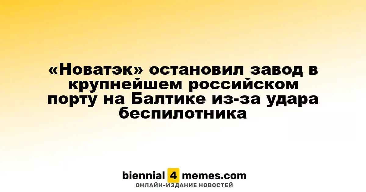 «Новатэк» остановил завод в крупнейшем российском порту на Балтике из-за удара беспилотника