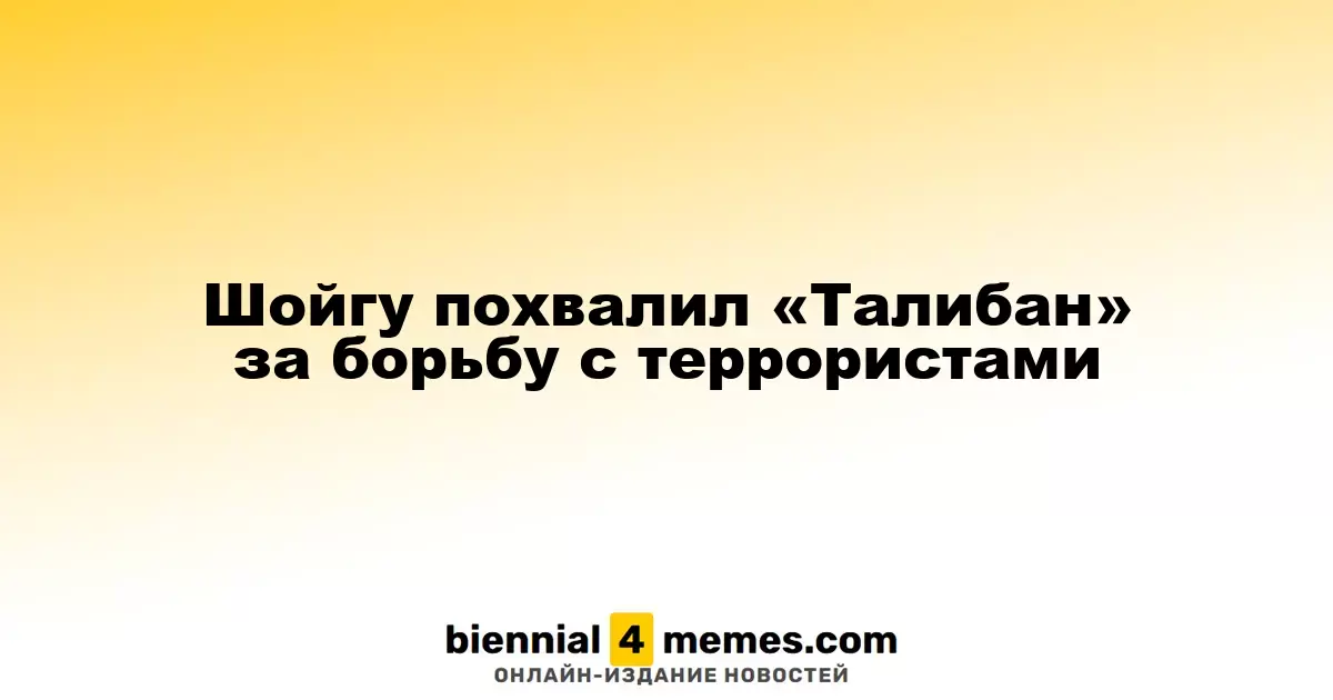 Шойгу отметил усилия «Талибана» в борьбе с терроризмом