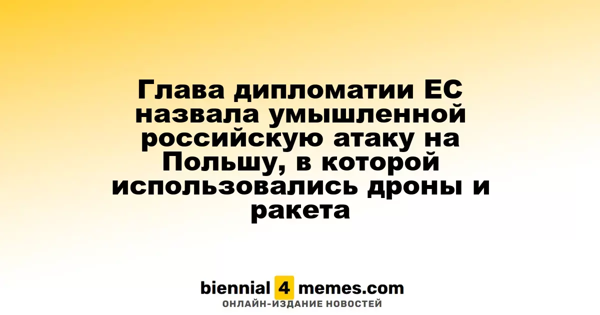 Глава дипломатии ЕС назвала умышленной российскую атаку на Польшу, в которой использовались дроны и ракета