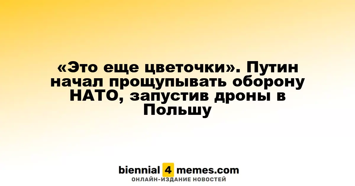 «Это еще цветочки». Путин начал прощупывать оборону НАТО, запустив дроны в Польшу