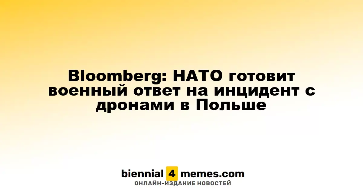 Bloomberg: НАТО планирует военные меры в ответ на инцидент с дронами в Польше