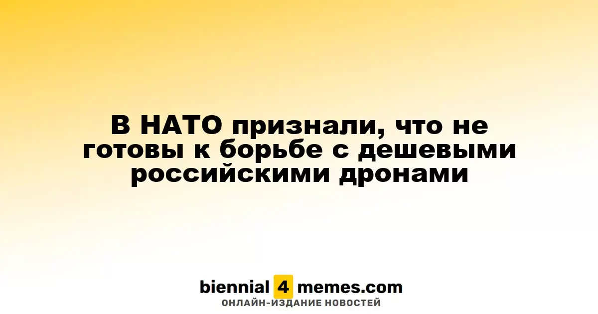 В НАТО признали, что не готовы к борьбе с дешевыми российскими дронами