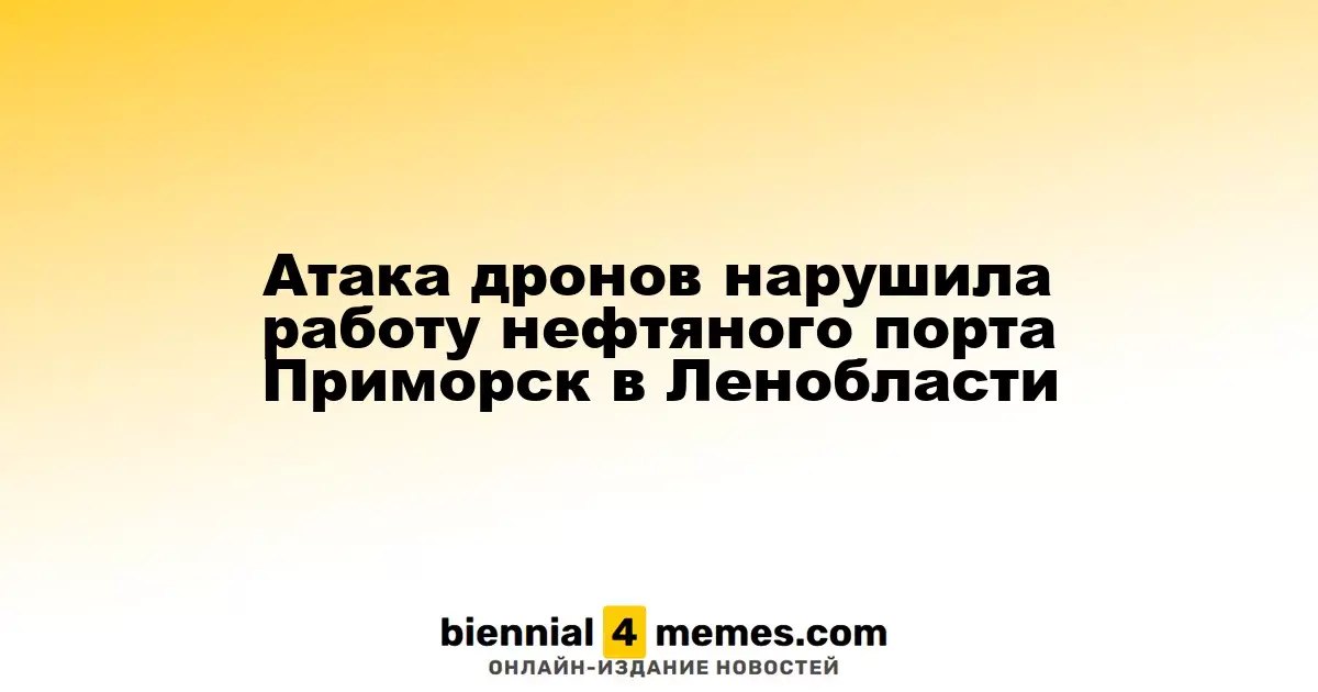 Атака беспилотников привела к сбоям в работе нефтяного порта Приморск в Ленинградской области