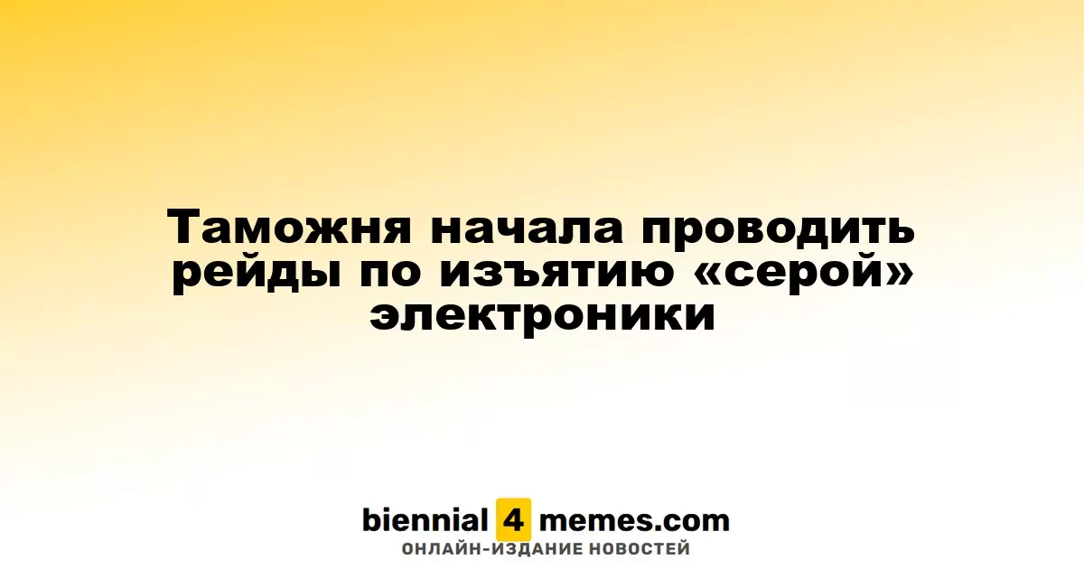 Таможенные органы начали масштабные операции по изъятию нелегальной электроники