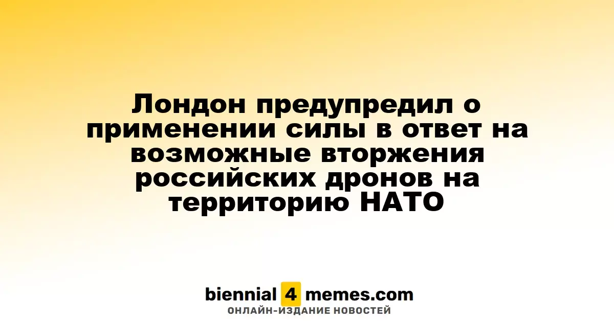 Великобритания предупредила о возможности применения силы в ответ на атаки российских дронов в зону НАТО