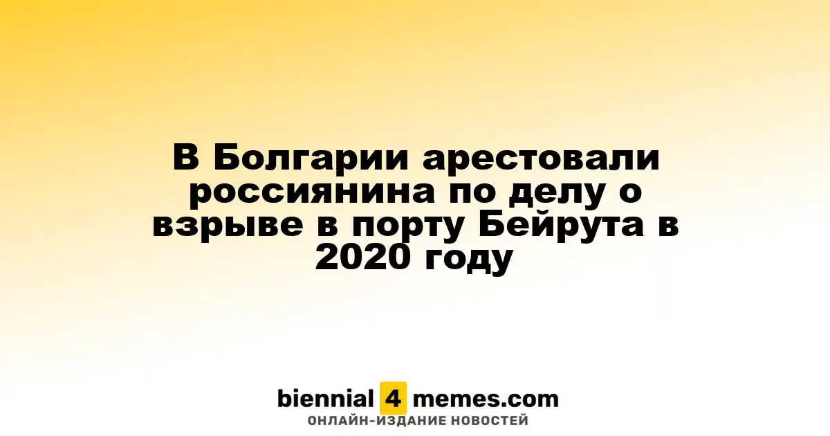 В Болгарии задержали россиянина по подозрению в причастности к взрыву в Бейрутском порту в 2020 году