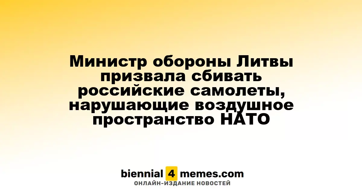 Министр обороны Литвы призвала сбивать российские самолеты, нарушающие воздушное пространство НАТО