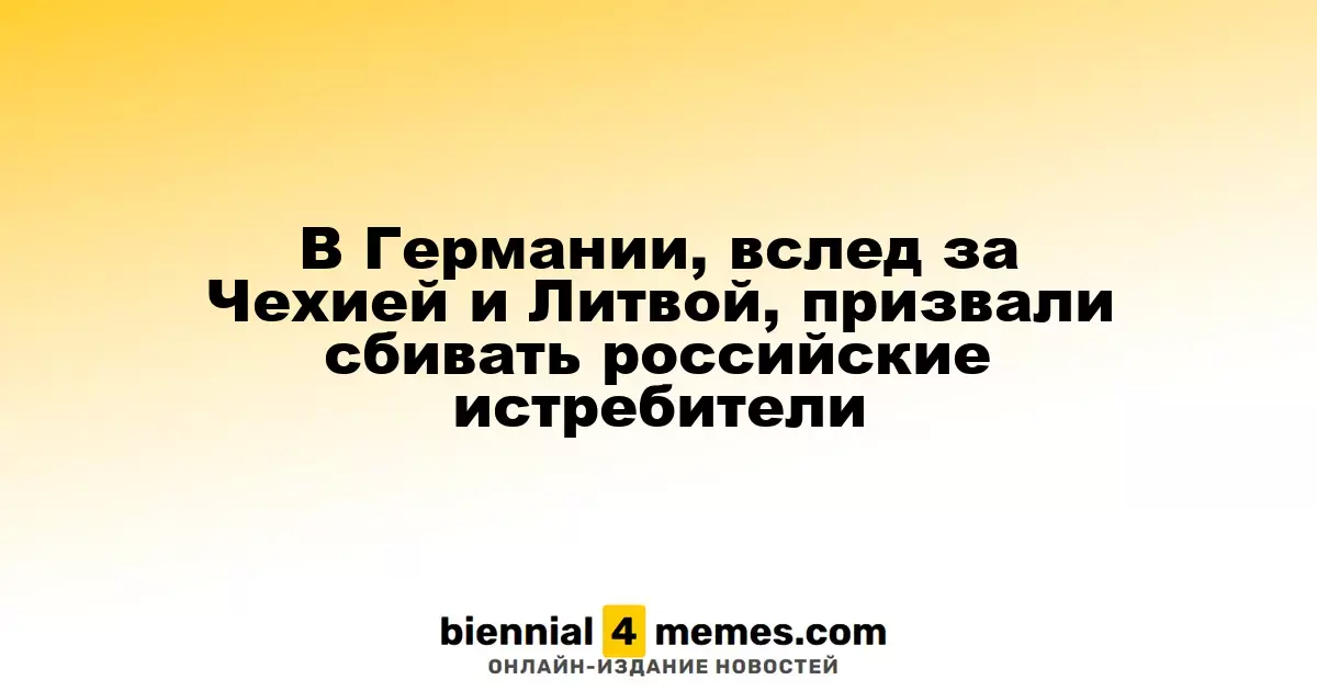 В Германии, после Чехии и Литвы, выступили за сбитие российских истребителей