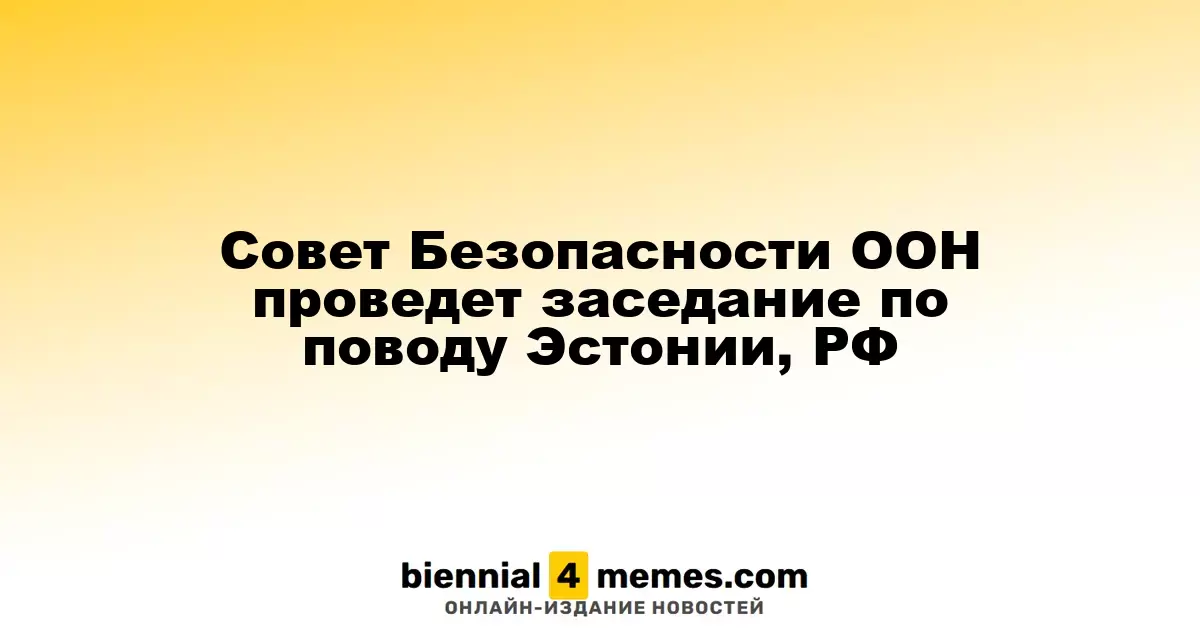 Совет Безопасности ООН рассмотрит ситуацию с Эстонией и Россией