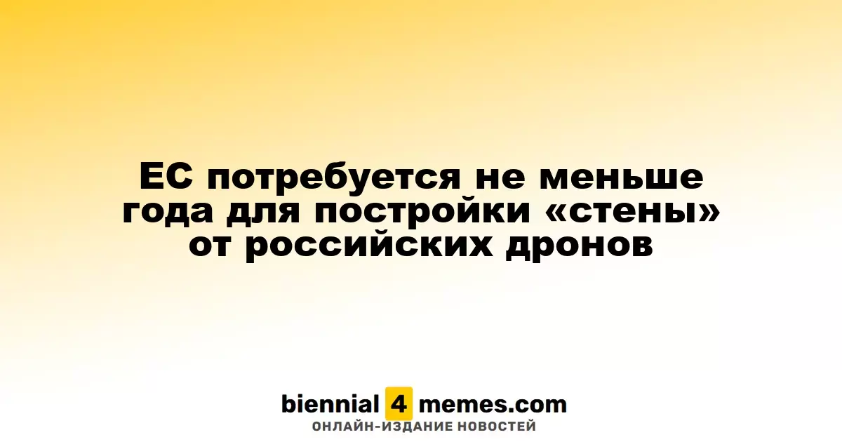 Создание защиты от российских дронов в ЕС займет как минимум год