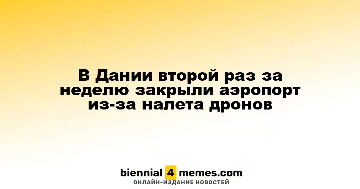 В Дании повторно закрыли аэропорт из-за наличия дронов в небе