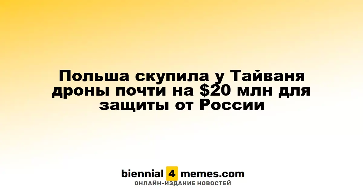 Польша скупила у Тайваня дроны почти на $20 млн для защиты от России