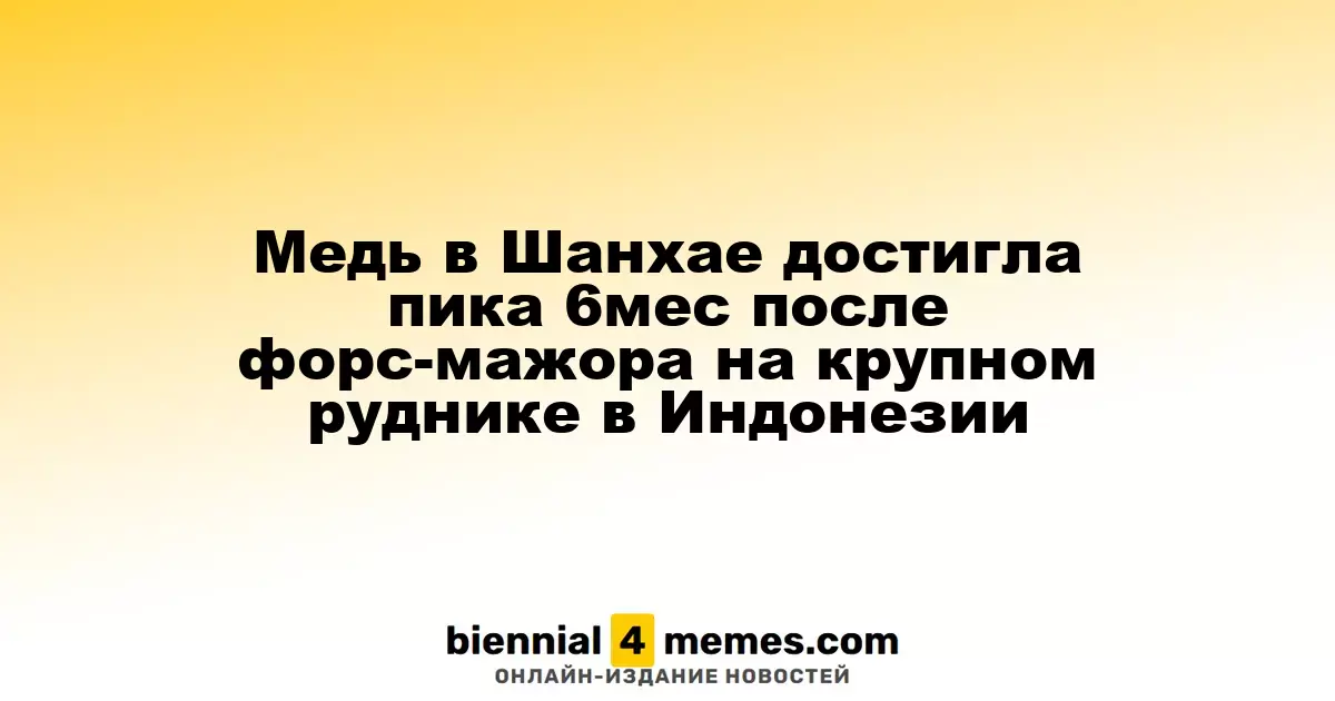 Цены на медь в Шанхае достигли максимума за полгода после объявления форс-мажора на индонезийском руднике
