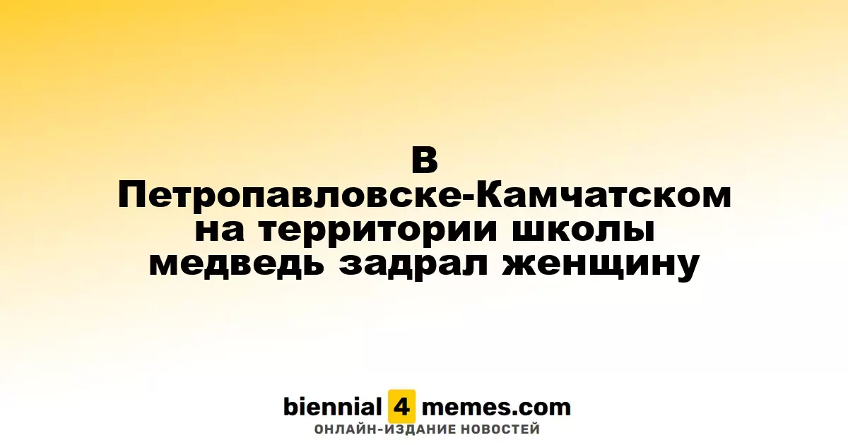 В Петропавловске-Камчатском медведь атаковал женщину на территории школы