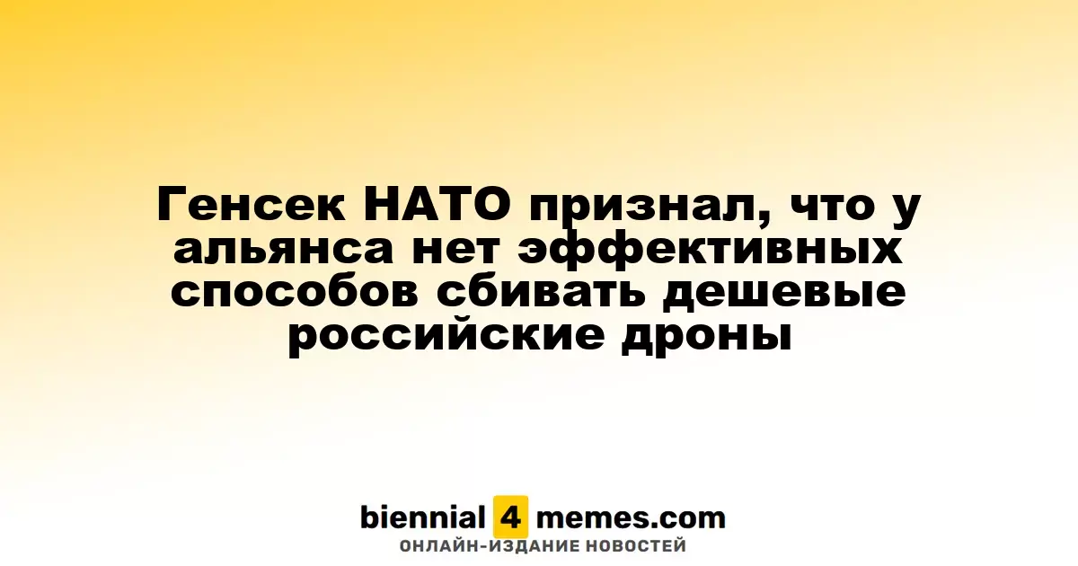 Генсек НАТО признал, что у альянса нет эффективных способов сбивать дешевые российские дроны
