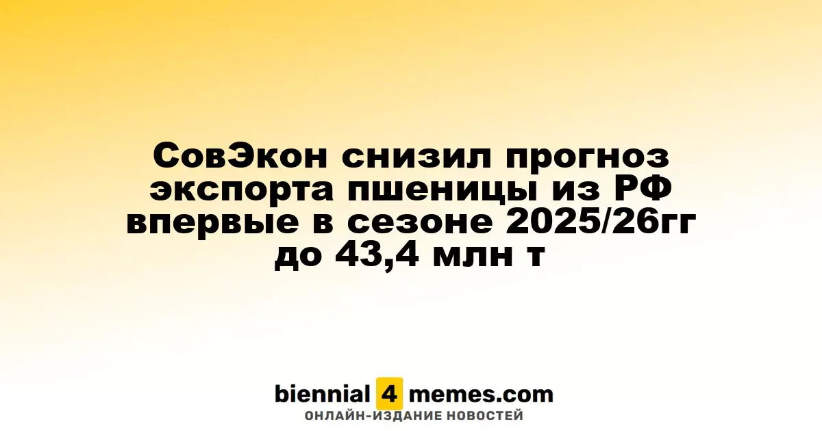 Агентство СовЭкон впервые в этом сезоне 2025/26 года уменьшило прогноз экспорта пшеницы из России до 43,4 млн тонн