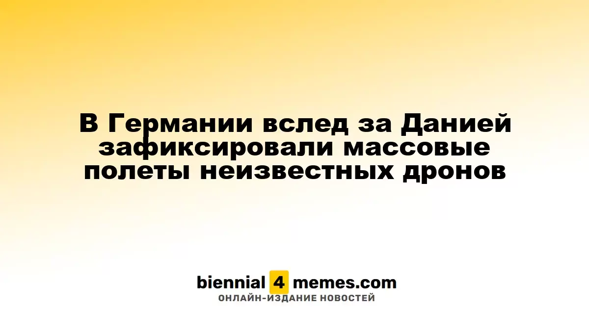 В Германии, как и в Дании, зафиксированы массовые вылеты неизвестных дронов