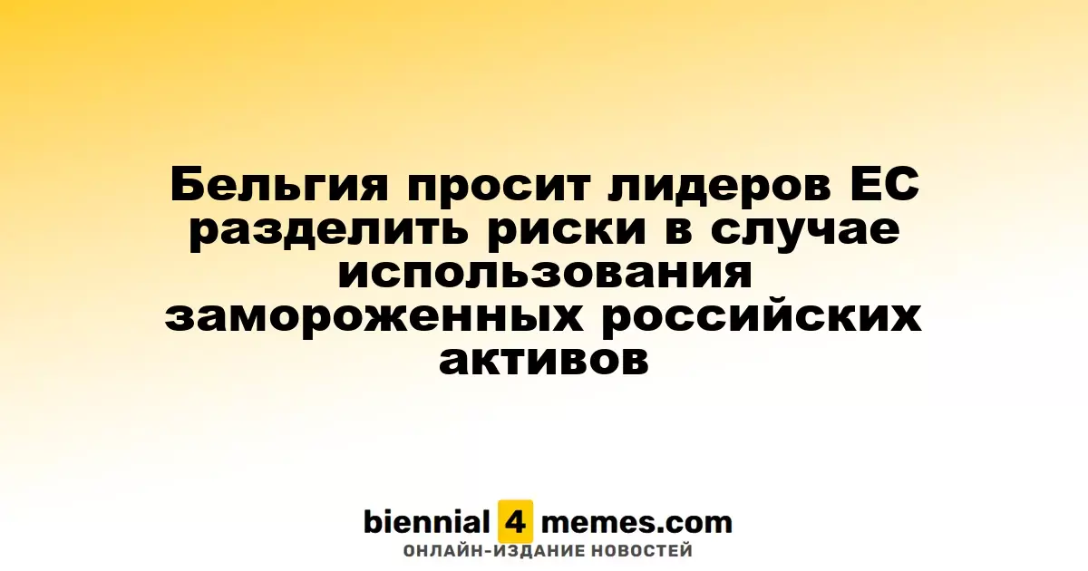 Бельгия призывает страны ЕС разделить риски при использовании замороженных активов России