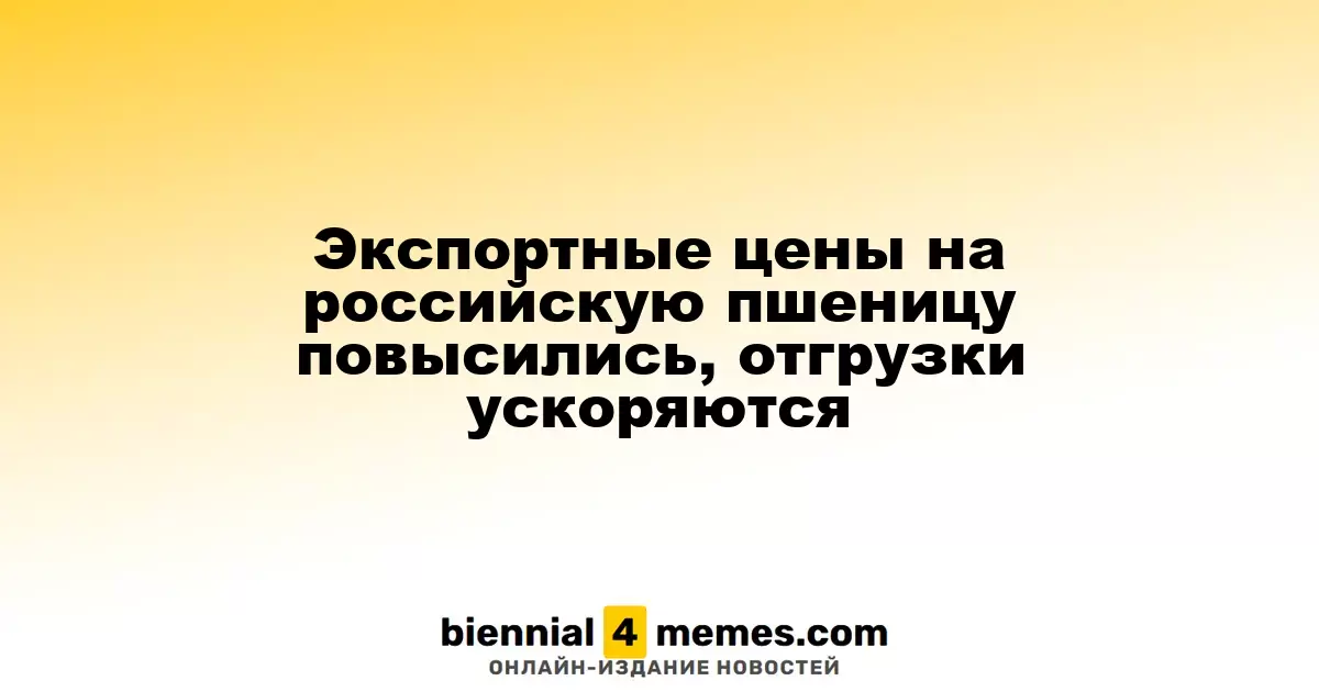 Цены на российскую пшеницу на экспорт растут, отгрузки ускоряются