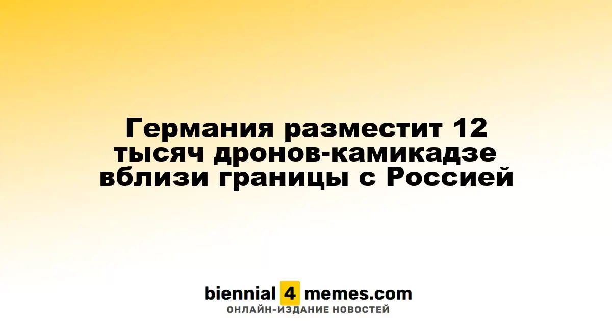 Германия планирует разместить 12 тысяч дронов-камикадзе у границы с Россией
