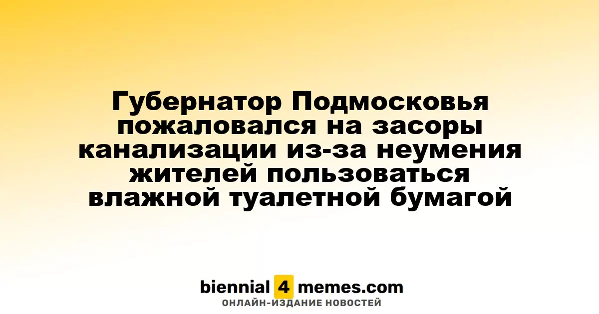 Губернатор Подмосковья выразил обеспокоенность по поводу засоров канализации из-за неправильного использования влажной туалетной бумаги