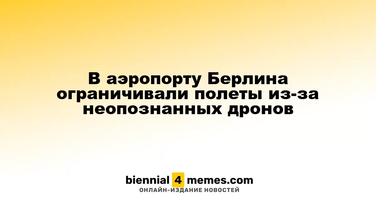 Аэропорт Берлина приостановил полеты из-за обнаруженных дронов