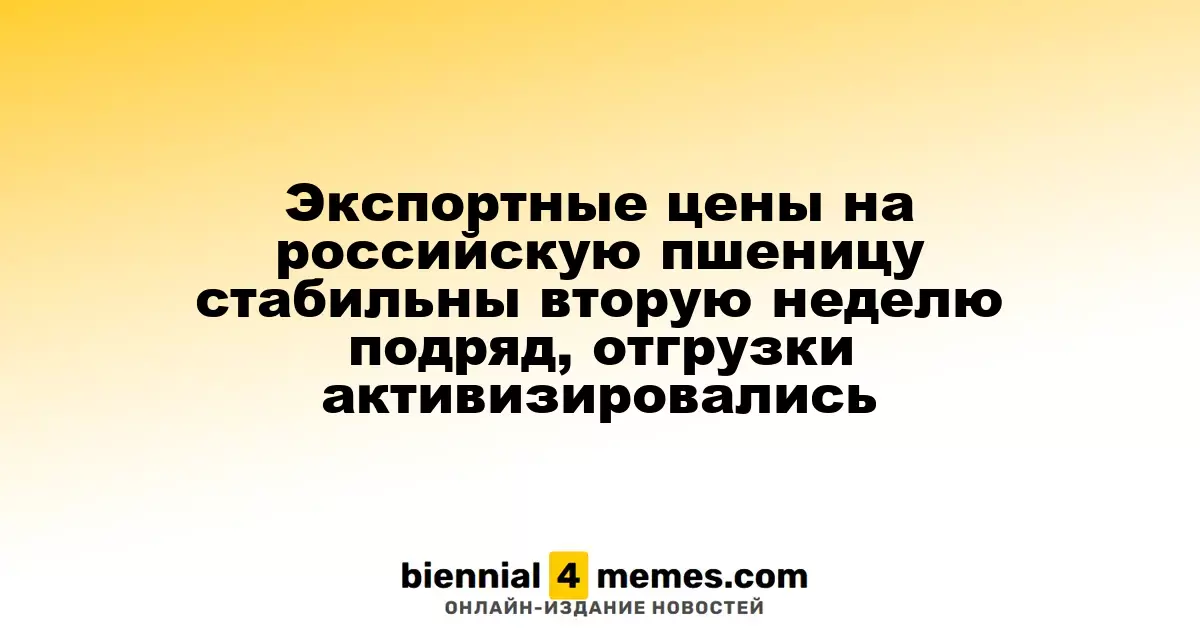 Цены на экспорт российской пшеницы остаются стабильными на протяжении двух недель, отгрузки увеличиваются