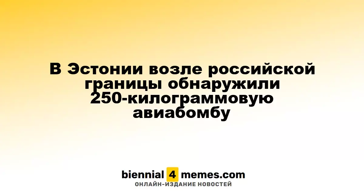 В Эстонии у границы с Россией найдена авиабомба весом 250 килограммов