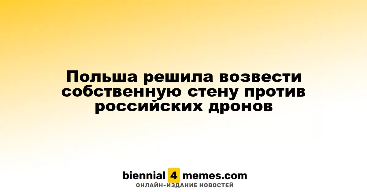 Польша решила возвести собственную стену против российских дронов