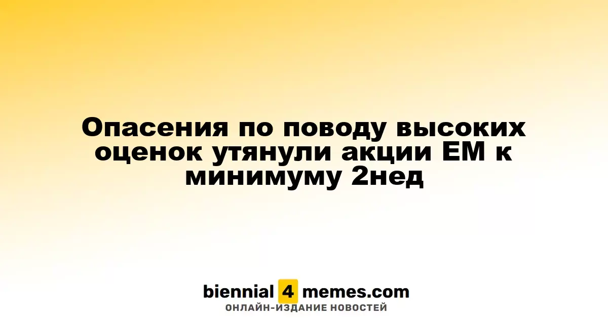 Беспокойство по поводу завышенных котировок снизило акции развивающихся рынков до минимума за две недели