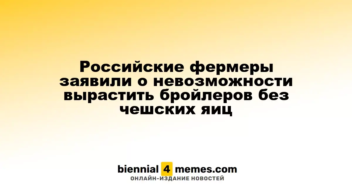 Фермеры России сообщили о трудностях выращивания бройлеров без чешских яиц