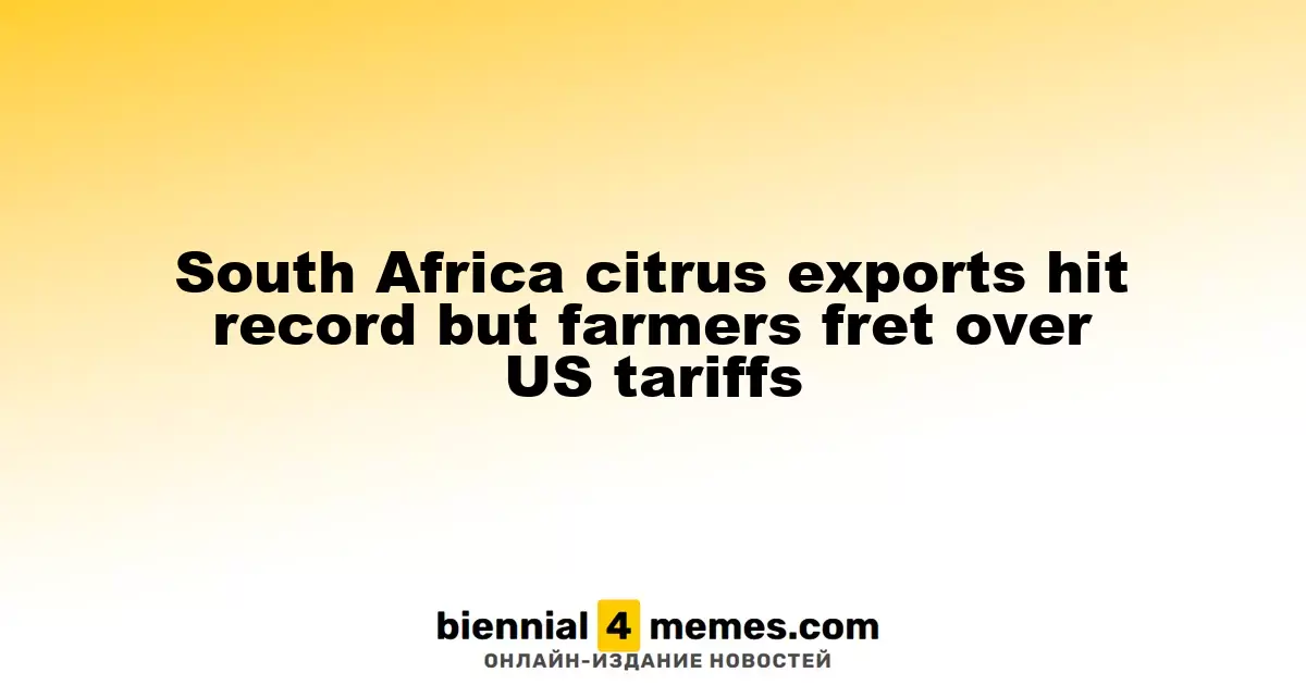 Цитрусовые экспорты Южной Африки устанавливают рекорды, но фермеры обеспокоены тарифами США