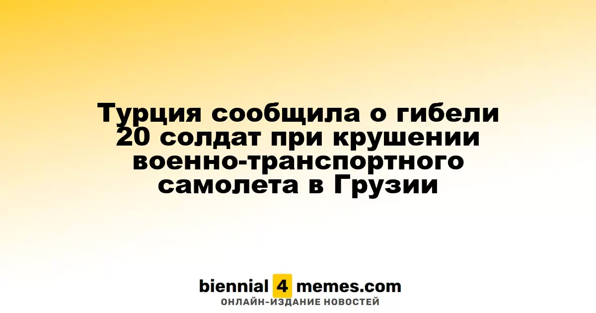 Турция подтвердила смерть 20 военнослужащих в результате аварии военного самолета в Грузии