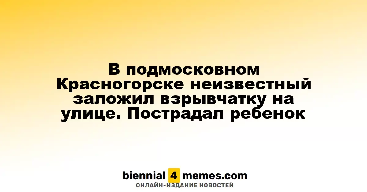 В Красногорске Подмосковья ребенок пострадал из-за взрывного устройства, оставленного на улице