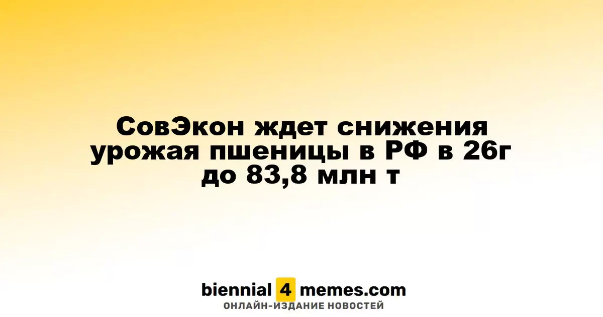 СовЭкон предсказывает падение урожая пшеницы в России в 2026 году до 83,8 млн тонн