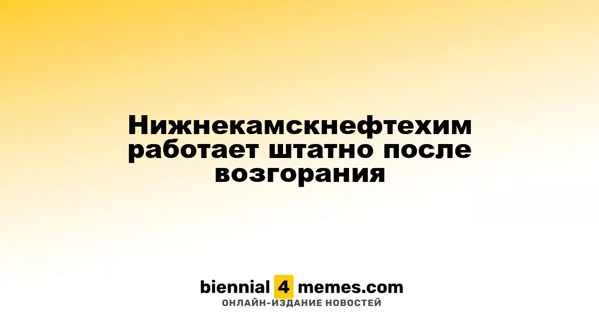 Нижнекамскнефтехим продолжает работу после инцидента с возгоранием